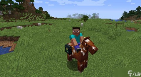 网易我的世界怎么骑马[图2]