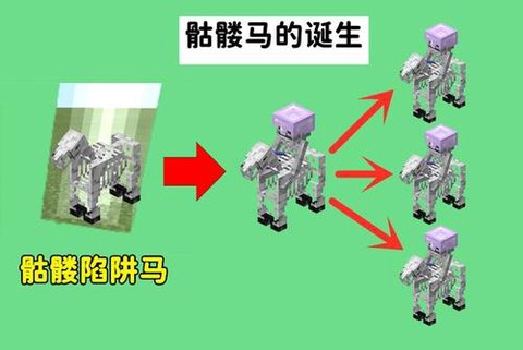 我的世界骷髅马装什么