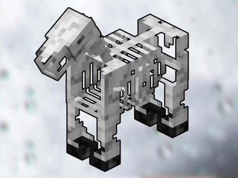 我的世界骷髅马装什么[图2]