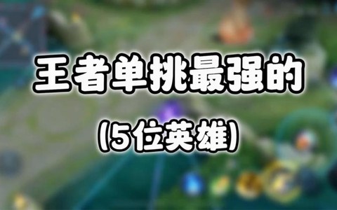 王者荣耀什么英雄单挑