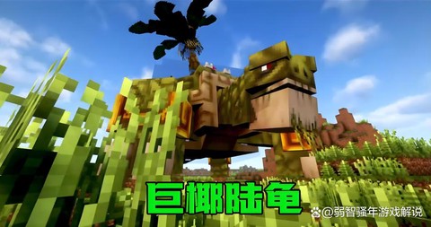 我的世界海龟吃什么