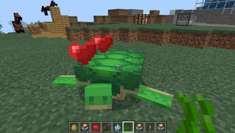 我的世界海龟吃什么[图1]