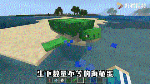 我的世界海龟吃什么[图2]