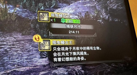 怪物猎人怎么抓捕怪物[图1]