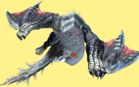 怪物猎人x白疾风怎么打