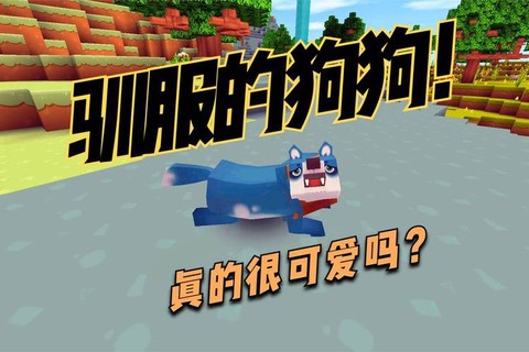 迷你世界狗狗怎么训[图1]