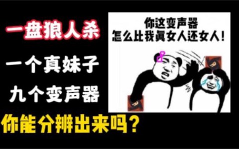 狼人杀变音器怎么开[图2]