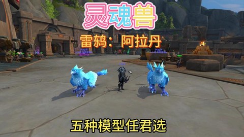 魔兽世界宠物什么好[图2]