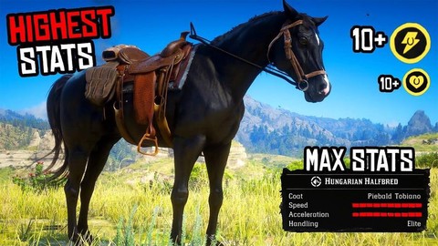 荒野大镖客2什么马好