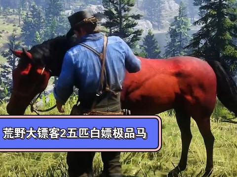 荒野大镖客2什么马好[图2]