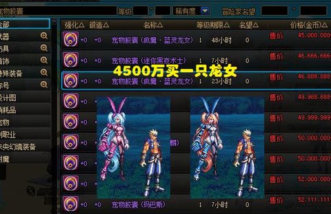 dnf巫女带什么宠物