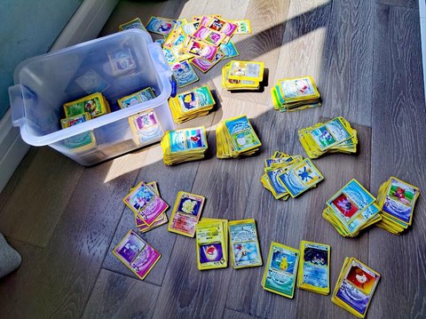 口袋妖怪卡标是什么[图1]