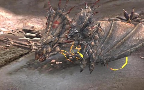 怪物猎人ol如何狩猎