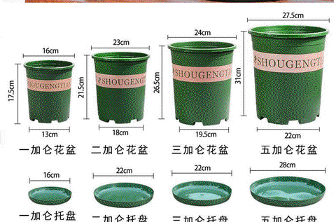 我的世界花盆怎么种花