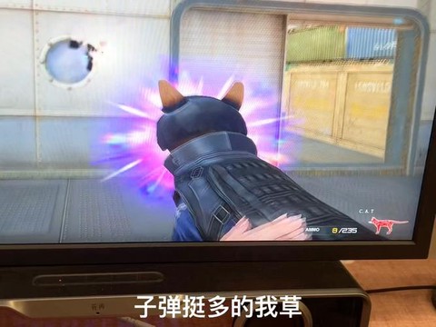 穿越火线cat怎么得[图1]