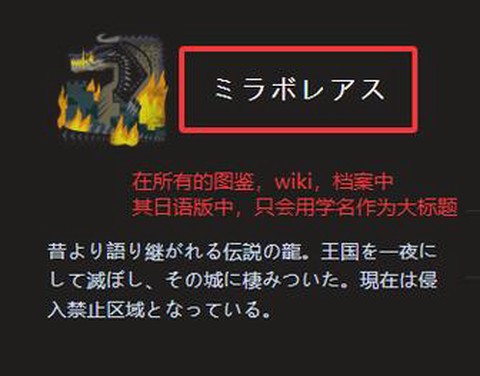 怪物猎人取什么名字好[图2]