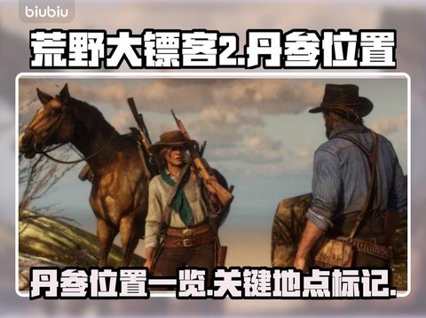 荒野大镖客怎么寻找玩家